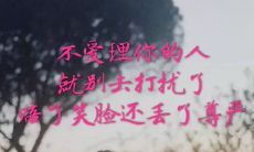 流行于抖音的令人心酸的短句，引发广泛关注和热议