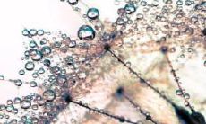 在友谊的陶醉之中畅享美食、畅饮，尽情感受开心的同时互相舒缓内心疲惫的一句话