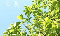 集锦:探究二十四节气所蕴含的意义与寓意,感悟炎炎夏日万物生机勃勃的生命力与精神启迪之美妙——一组关于二十四节气立夏的诗歌创作精选
