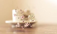 反思时曾让你后悔的霸气句子:你会如何重新表达?