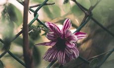 霸气押韵的销售口号：巧妙运用16个字，展现出强大的营销力量