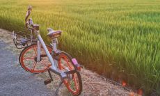 品味秋季的唯美之美：一组别致的秋天短句子