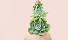 深感不快的分手时刻:掏心掏肺地吐露内心感受的句子剖析心情