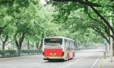 更多的微笑、平静、美好:惹人心醉的开心句子收集精选