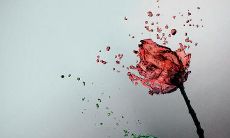 32句关于不断努力赚取财富的努力的名人名言和说说