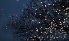 阅读这些伤感句子会让你感受到心灵深处的痛苦，甚至让你不禁流下悲伤的泪水