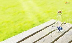 用生动的语言描述人类开心时的表现,以及这些开心动作所带来的愉悦片段