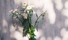 以简单而开心的态度活着:走近简单幸福的生活方式