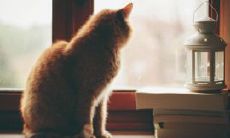 让我们一起寻找令人愉悦的生活方式:给你带来快乐和满足的建议和心灵小贴士