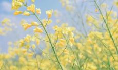 一些描述情感状态的QQ句子,包括伤心与不开心的表达