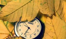 2022年白色情人节,怀念那位让我心仪多年的人出现在我的生命中,我热情分享关于这个节日的一系列想法和经历的大全