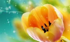 生命中恒久的情感纽带：充满爱与关怀，照亮人生风景线的亲情长河