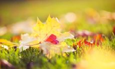 今天的我,心情愉悦,几乎可以踏着彩虹飞翔!