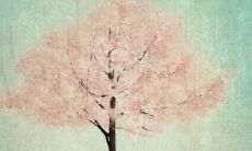 尽管七夕恋人节令人陶醉，但那些关于悲伤、流泪和痛苦的心痛句子让我们思索感情的复杂性