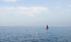 让我们听听女性分享的开心句子,让生活变得更加美好!