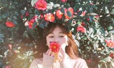 分享高兴的句子,畅叙内心情感分享的快乐瞬间