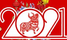 牛年最经典、最温馨、最值得分享的祝福语录短句大全