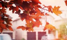 疲惫不堪的精神状态下,借助经典句子诉说内心烦躁的心情