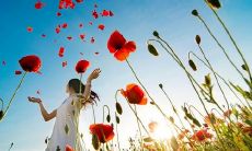 普遍认同的“所谓亲情不过如此句子”是否对享有完整家庭和固定亲情观念的人士构成根本威胁?