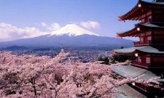 生动形象地描述开心心情的人物化语句