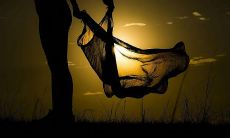 思念过往的情感流淌，留恋历史的感触荡漾：回首往昔，心中泛起酸楚与伤感的句子