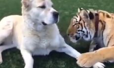 最受宠爱的女人句子集合：展现撒娇魅力的美妙语句