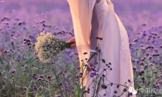 当老公在自己生日上让自己感到失望时，表达出的句子