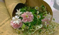 预测：2022年朋友圈中最流行的短句是什么？