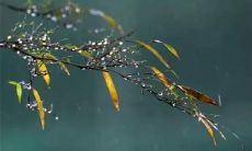 上的传统文化推广——分享寒衣节的文化意义和历史渊源,引导社交媒体用户重新认识传统文化价值,推广中华文化精髓