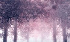 闻到海的气息,想起了心灵深处那些与海有关的文艺短句