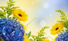 绚丽暖阳，映照大地万物，令人心醉的唯美句子