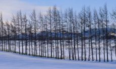 用多个词汇增强长度和表达力：探讨冬季旅游所带来的心情体验以及对人们情感状态的积极影响