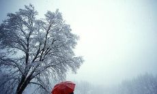 关于男朋友让你失望的话题，有哪些可以诉说的句子？