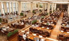 富有诗意的语言表述阅读之美：一系列妙趣横生的句子关于享受在阅读中所呈现出来的惊人真谛