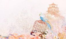 一些令人感动的关于女生友谊的句子,用于强调女性之间的真正互相关怀和友情