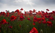 笑谈人生:一系列充满哲理与幽默的人生感悟句子