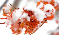 使用鼓励、支持和积极心态的话语，帮助你的朋友克服心理困境