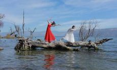 用于达到幸福愉悦生活的句子:改变你的态度和环境来达到开心的生活