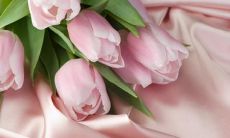 分享——如何在朋友圈中展现自己的魅力,吸引更多女生的目光?