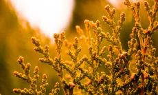 感叹时光逝去的唯美古诗词，令人深思岁月流转之不觉