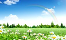 让你感受到春天美好气息的精美文字组成的标题