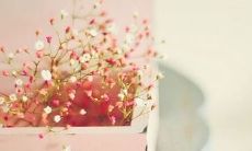 一百句哄女朋友开心的话：让你的爱人笑容满面，快乐无限的情话推荐！