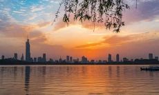 描述许多人皆欣喜若狂的表述