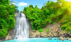 收录亦舒经典语句,探索她的智慧世界:一个全面而详尽的亦舒经典语录汇编