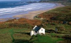 前任发来问候短信，如何回应？——有效应对前任问候短信的技巧和策略