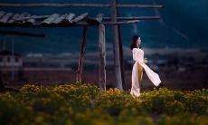 点滴细节里蕴藏着无限欢乐:让我们分享一些让人开心的句子!