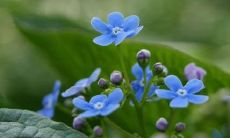 一些句子,形容恋爱带来的幸福之感