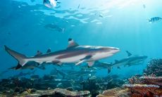 女孩分享发小送给她的感人友情句子,让人深刻感受到真挚友谊的温暖与力量