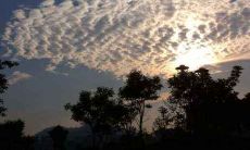 餐厅利用短信发送问候信息达到更亲近客户的目的