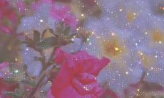 让人感动到落泪的最热门的爱情文案短句汇总